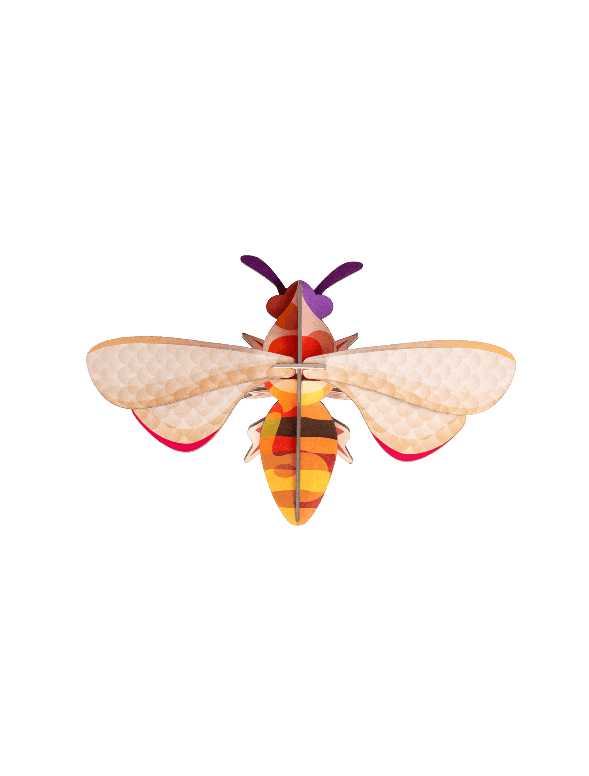 honey-bee-website-picture-nobg-1706790451