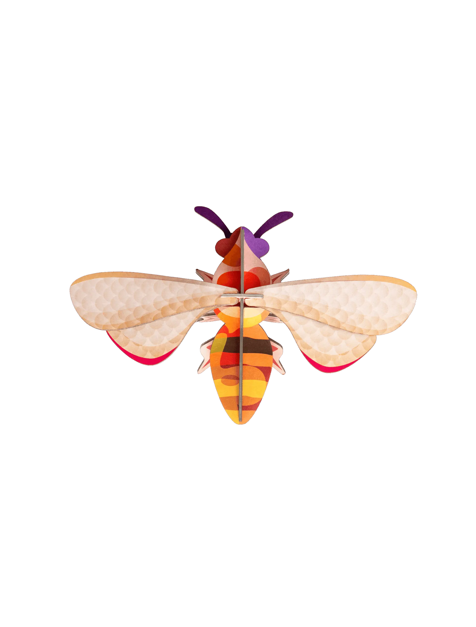 honey-bee-website-picture-nobg-1706790451